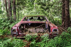 Voiture Galaxie 500 rouge abandonnée dans la forêt à Notre-Dame-des-Bois en Estrie.